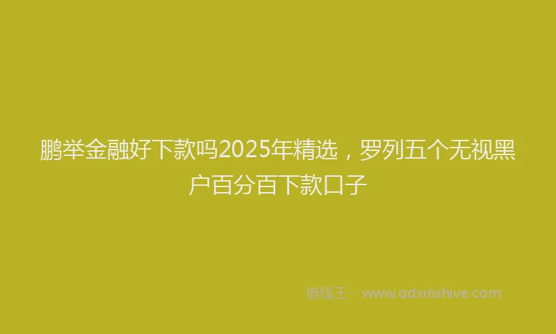 鹏举金融好下款吗2025年精选，罗列五个无视黑户百分百下款口子