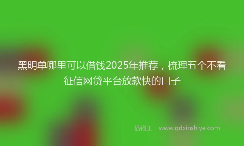 黑明单哪里可以借钱2025年推荐，梳理五个不看征信网贷平台放款快的口子