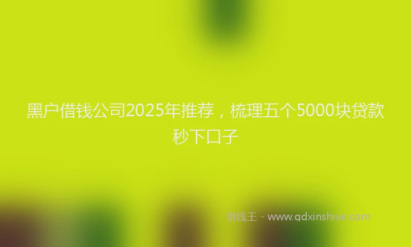黑户借钱公司2025年推荐，梳理五个5000块贷款秒下口子