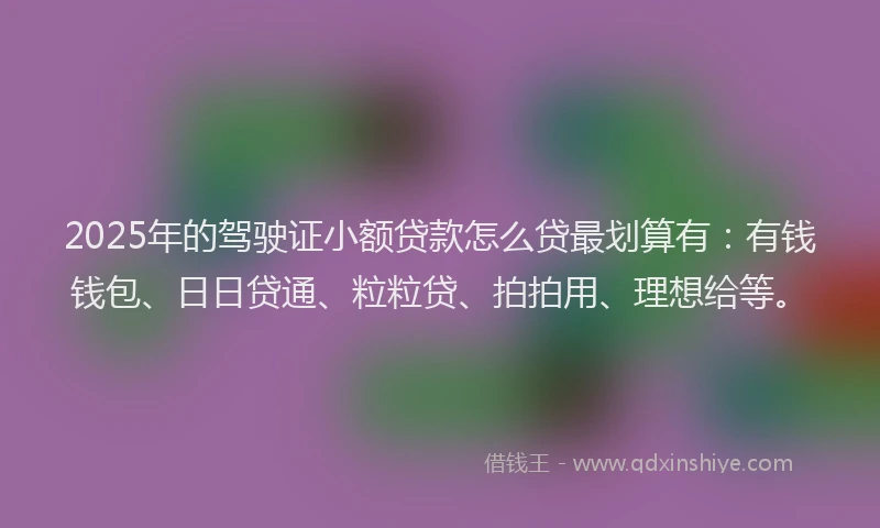 2025年的驾驶证小额贷款怎么贷最划算有：有钱钱包、日日贷通、粒粒贷、拍拍用、理想给等。