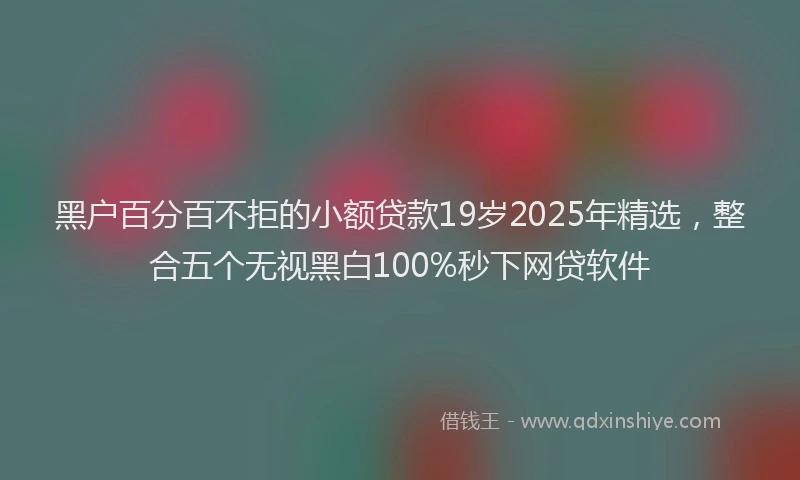 黑户百分百不拒的小额贷款19岁2025年精选，整合五个无视黑白100%秒下网贷软件
