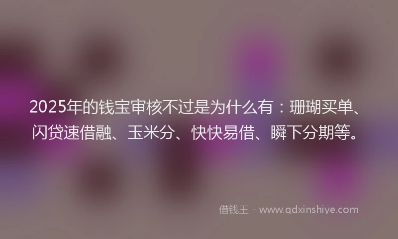 2025年的钱宝审核不过是为什么有：珊瑚买单、闪贷速借融、玉米分、快快易借、瞬下分期等。