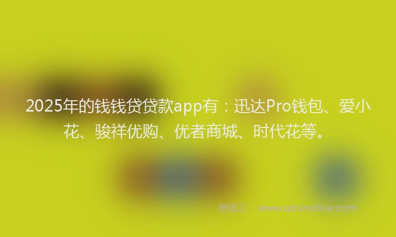 2025年的钱钱贷贷款app有：迅达Pro钱包、爱小花、骏祥优购、优者商城、时代花等。