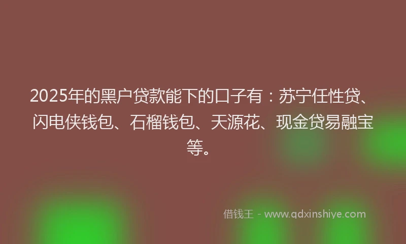 2025年的黑户贷款能下的口子有：苏宁任性贷、闪电侠钱包、石榴钱包、天源花、现金贷易融宝等。