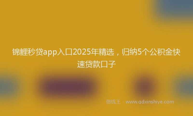 锦鲤秒贷app入口2025年精选，归纳5个公积金快速贷款口子