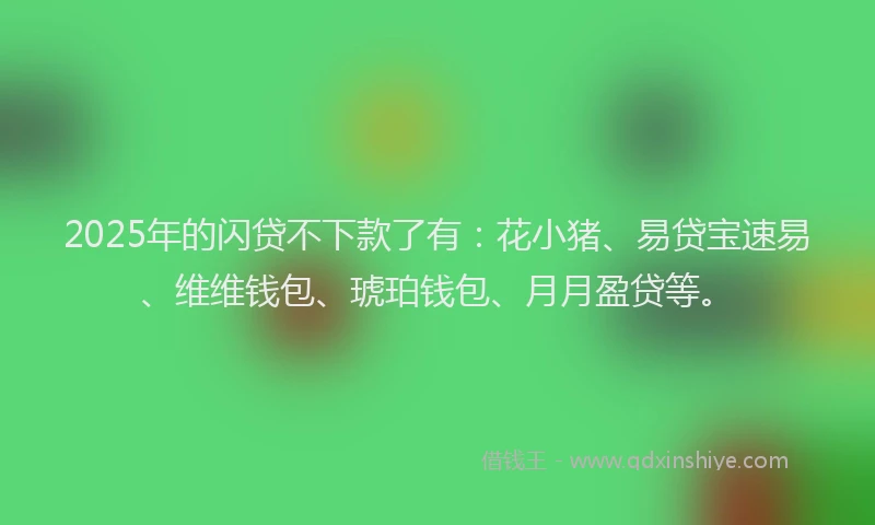2025年的闪贷不下款了有：花小猪、易贷宝速易、维维钱包、琥珀钱包、月月盈贷等。