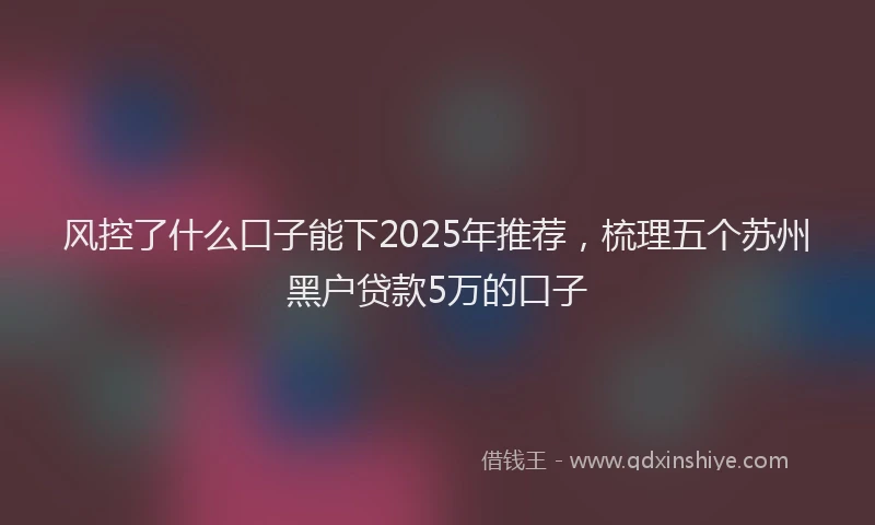 风控了什么口子能下2025年推荐，梳理五个苏州黑户贷款5万的口子