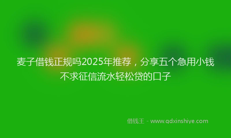 麦子借钱正规吗2025年推荐，分享五个急用小钱不求征信流水轻松贷的口子