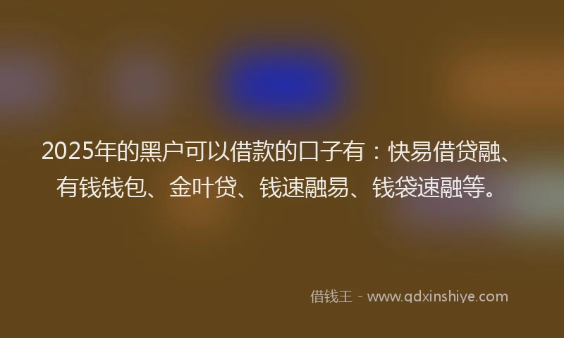 2025年的黑户可以借款的口子有：快易借贷融、有钱钱包、金叶贷、钱速融易、钱袋速融等。