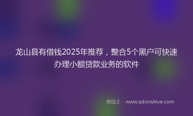 龙山县有借钱2025年推荐，整合5个黑户可快速办理小额贷款业务的软件