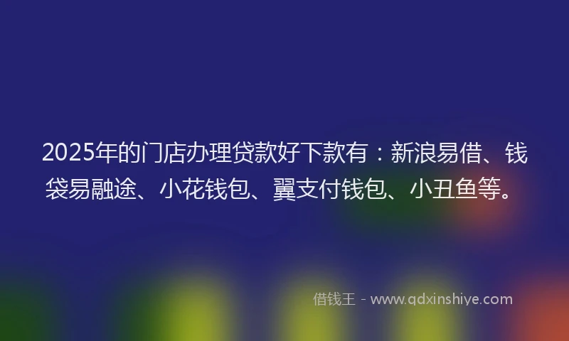 2025年的门店办理贷款好下款有：新浪易借、钱袋易融途、小花钱包、翼支付钱包、小丑鱼等。