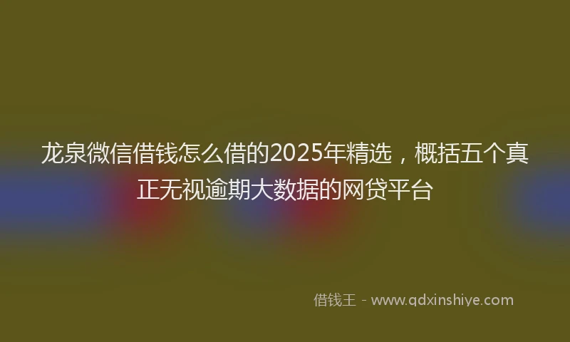 龙泉微信借钱怎么借的2025年精选，概括五个真正无视逾期大数据的网贷平台