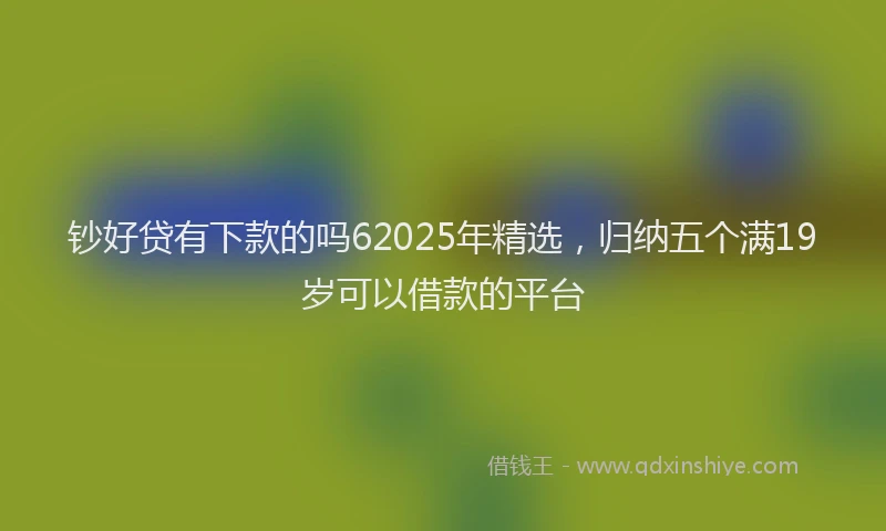 钞好贷有下款的吗62025年精选，归纳五个满19岁可以借款的平台