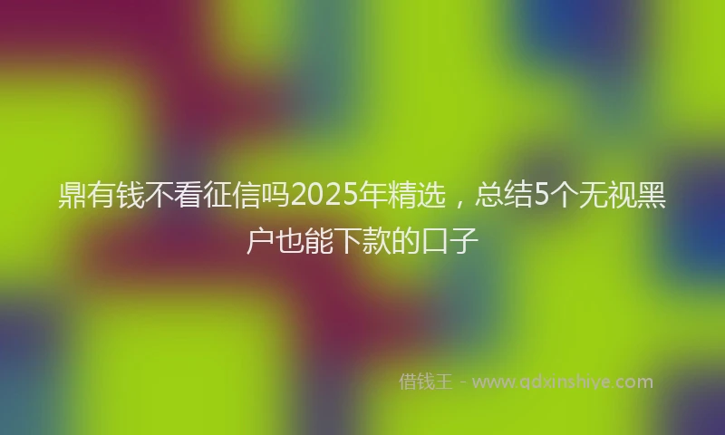 鼎有钱不看征信吗2025年精选，总结5个无视黑户也能下款的口子
