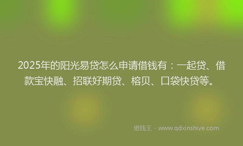 2025年的阳光易贷怎么申请借钱有：一起贷、借款宝快融、招联好期贷、榕贝、口袋快贷等。