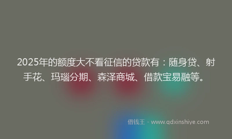 2025年的额度大不看征信的贷款有：随身贷、射手花、玛瑙分期、森泽商城、借款宝易融等。