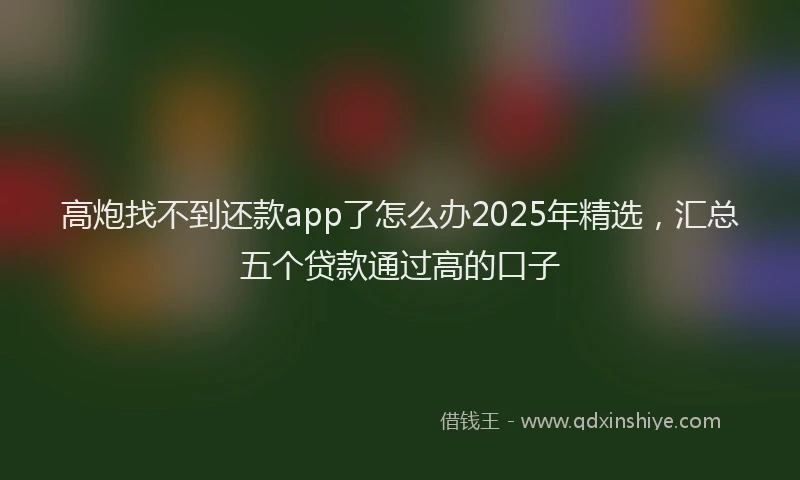 高炮找不到还款app了怎么办2025年精选，汇总五个贷款通过高的口子