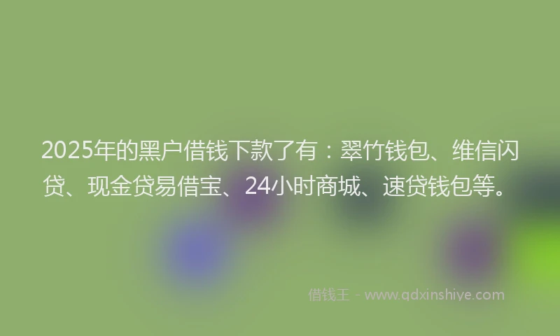 2025年的黑户借钱下款了有：翠竹钱包、维信闪贷、现金贷易借宝、24小时商城、速贷钱包等。