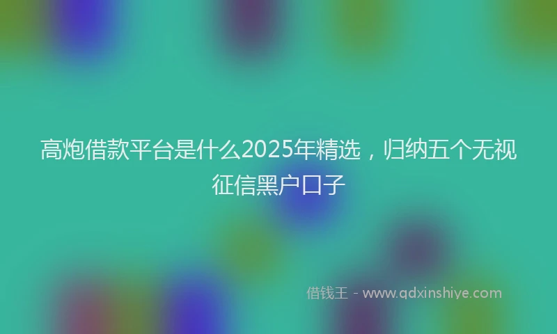 高炮借款平台是什么2025年精选，归纳五个无视征信黑户口子