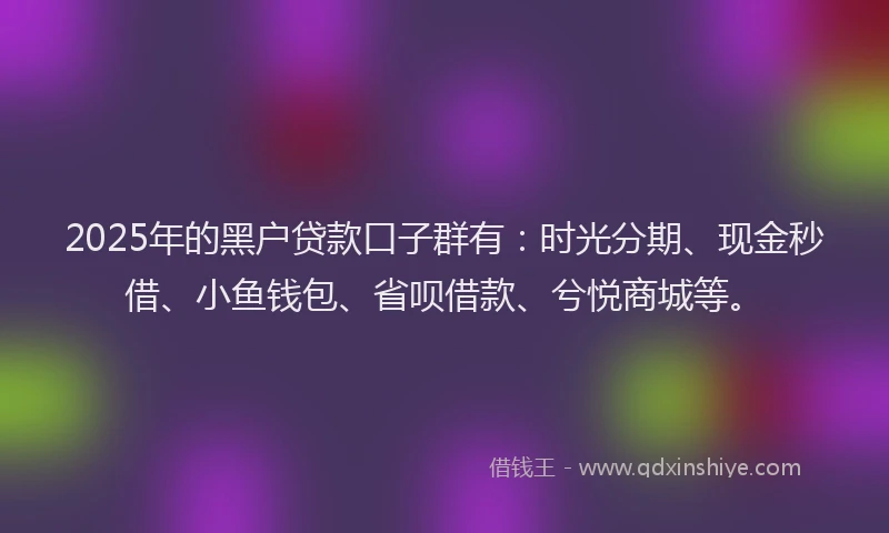 2025年的黑户贷款口子群有：时光分期、现金秒借、小鱼钱包、省呗借款、兮悦商城等。