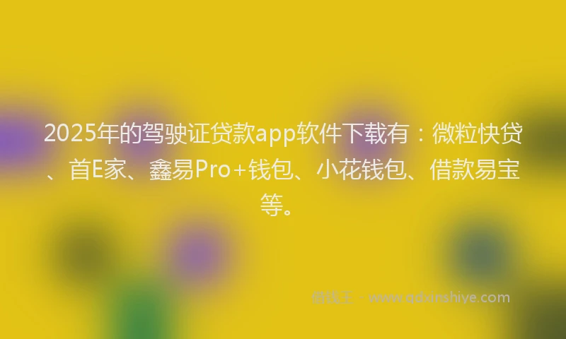 2025年的驾驶证贷款app软件下载有：微粒快贷、首E家、鑫易Pro+钱包、小花钱包、借款易宝等。