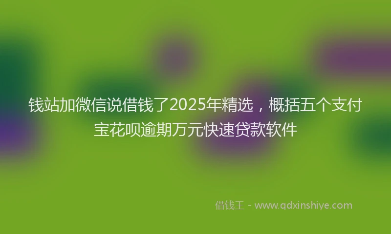 钱站加微信说借钱了2025年精选，概括五个支付宝花呗逾期万元快速贷款软件
