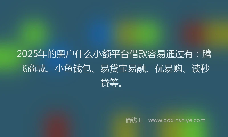 2025年的黑户什么小额平台借款容易通过有：腾飞商城、小鱼钱包、易贷宝易融、优易购、读秒贷等。