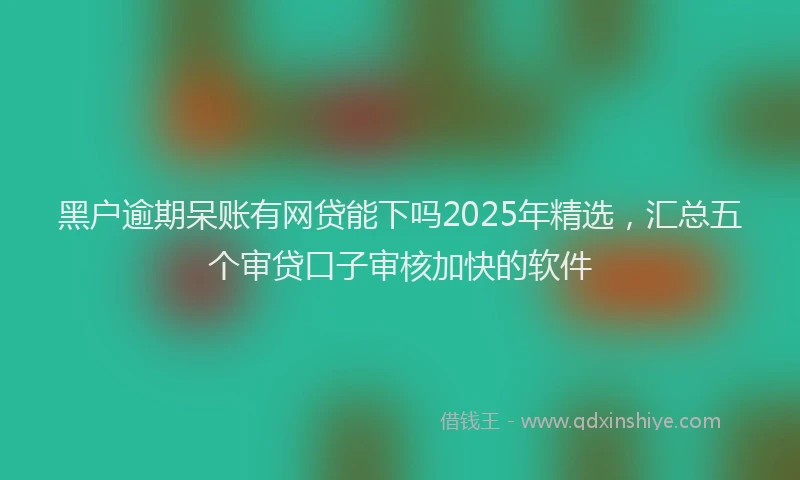 黑户逾期呆账有网贷能下吗2025年精选，汇总五个审贷口子审核加快的软件