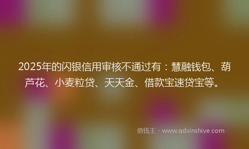 2025年的闪银信用审核不通过有：慧融钱包、葫芦花、小麦粒贷、天天金、借款宝速贷宝等。