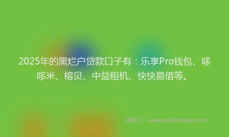 2025年的黑烂户贷款口子有：乐享Pro钱包、哆哆米、榕贝、中益租机、快快易借等。
