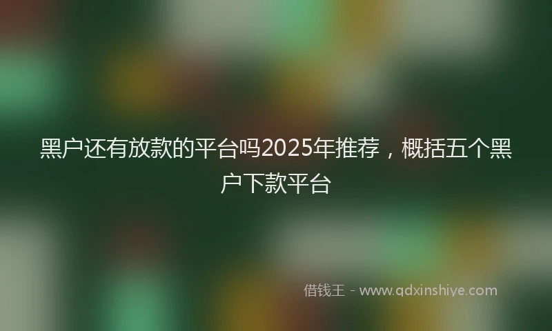 黑户还有放款的平台吗2025年推荐，概括五个黑户下款平台