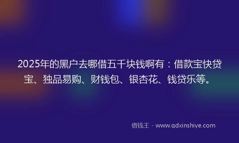 2025年的黑户去哪借五千块钱啊有：借款宝快贷宝、独品易购、财钱包、银杏花、钱贷乐等。