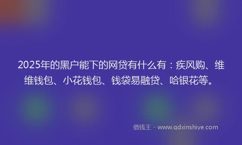 2025年的黑户能下的网贷有什么有：疾风购、维维钱包、小花钱包、钱袋易融贷、哈银花等。