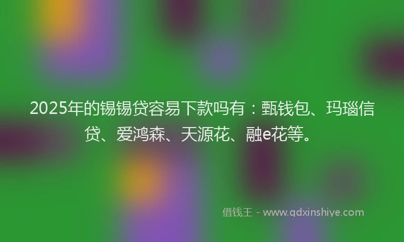 2025年的锡锡贷容易下款吗有：甄钱包、玛瑙信贷、爱鸿森、天源花、融e花等。