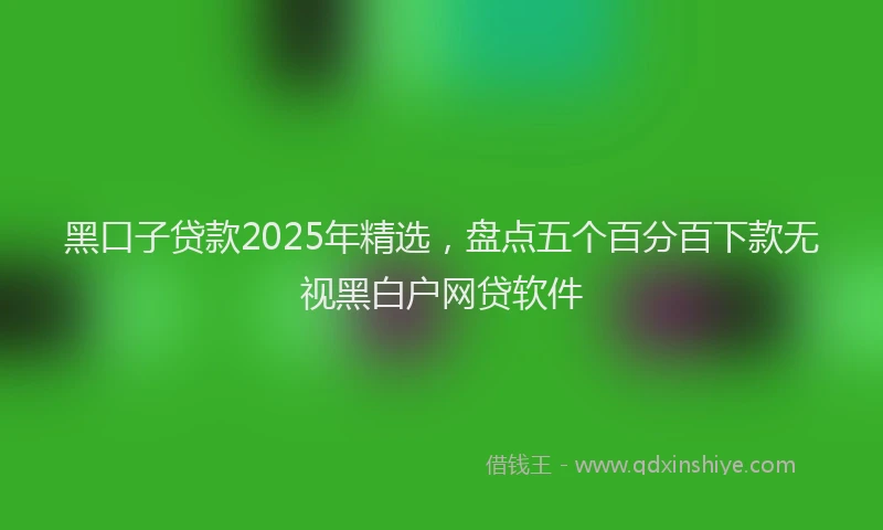 黑口子贷款2025年精选，盘点五个百分百下款无视黑白户网贷软件