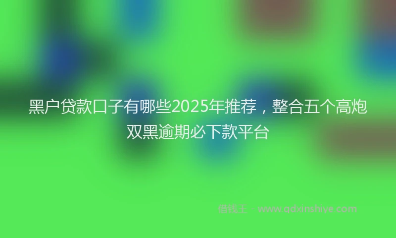 黑户贷款口子有哪些2025年推荐，整合五个高炮双黑逾期必下款平台
