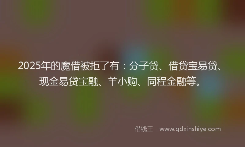 2025年的魔借被拒了有：分子贷、借贷宝易贷、现金易贷宝融、羊小购、同程金融等。