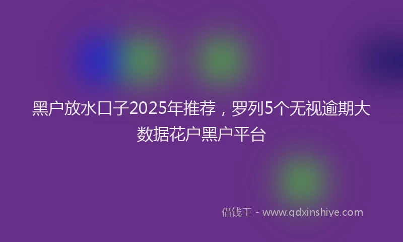 黑户放水口子2025年推荐，罗列5个无视逾期大数据花户黑户平台