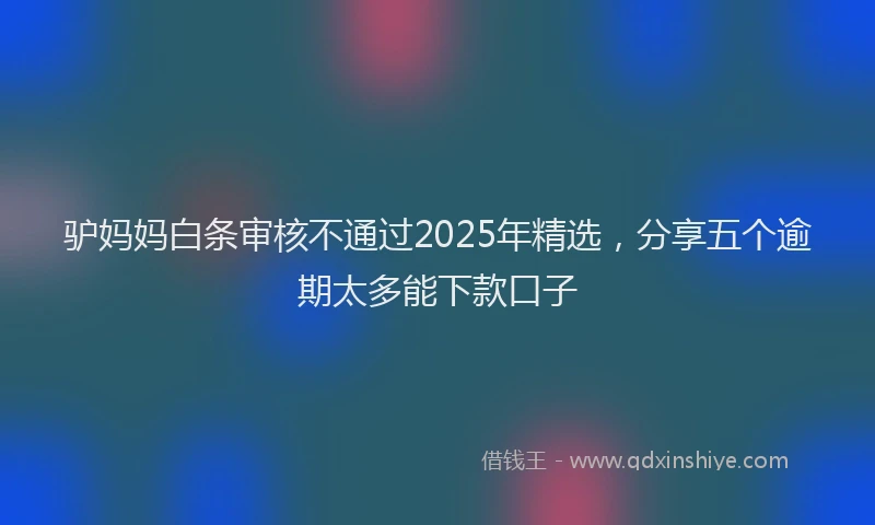 驴妈妈白条审核不通过2025年精选，分享五个逾期太多能下款口子