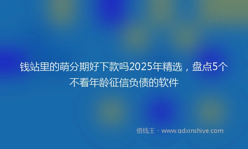 钱站里的萌分期好下款吗2025年精选，盘点5个不看年龄征信负债的软件