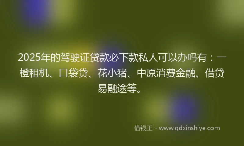 2025年的驾驶证贷款必下款私人可以办吗有：一橙租机、口袋贷、花小猪、中原消费金融、借贷易融途等。