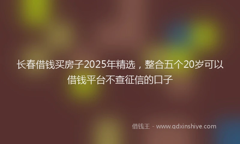 长春借钱买房子2025年精选，整合五个20岁可以借钱平台不查征信的口子