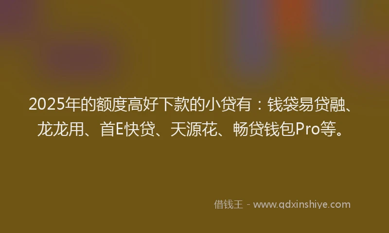 2025年的额度高好下款的小贷有：钱袋易贷融、龙龙用、首E快贷、天源花、畅贷钱包Pro等。