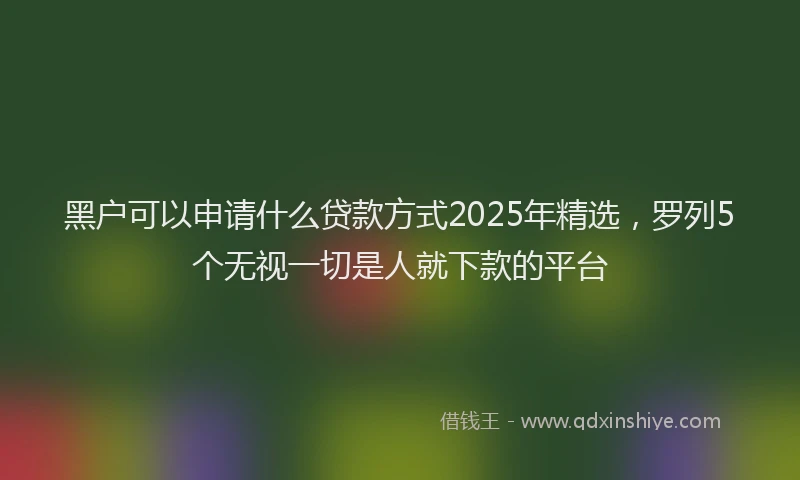 黑户可以申请什么贷款方式2025年精选，罗列5个无视一切是人就下款的平台