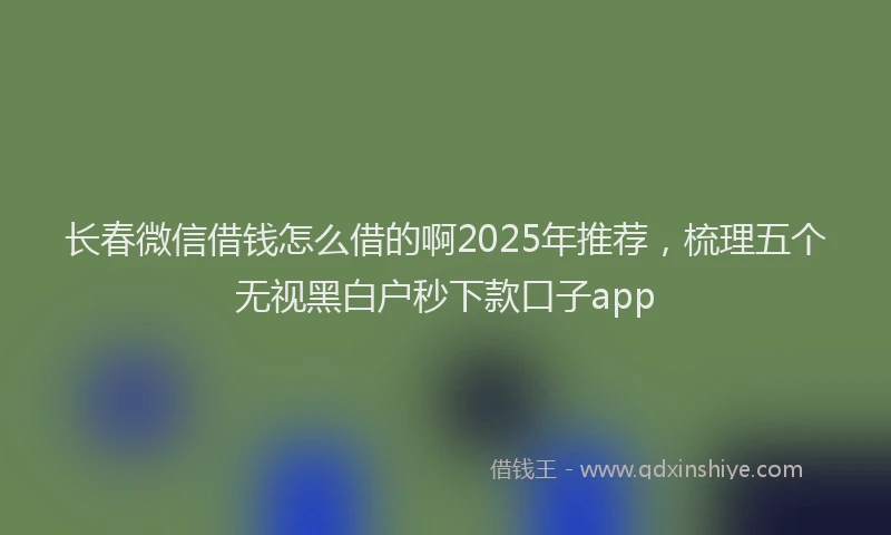 长春微信借钱怎么借的啊2025年推荐，梳理五个无视黑白户秒下款口子app