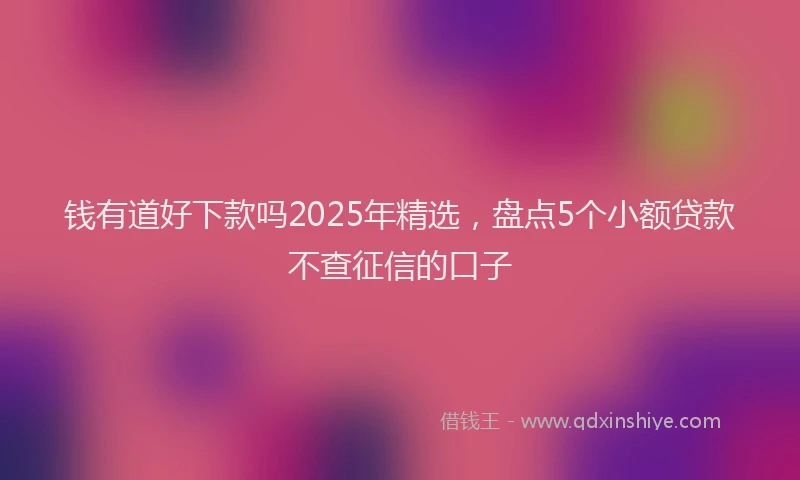 钱有道好下款吗2025年精选，盘点5个小额贷款不查征信的口子