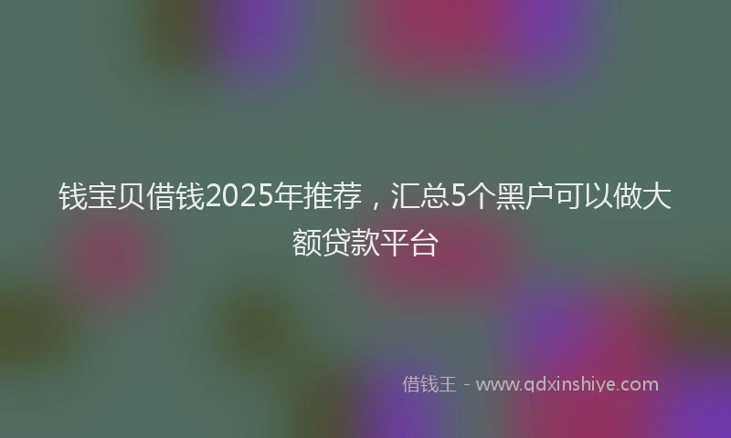钱宝贝借钱2025年推荐，汇总5个黑户可以做大额贷款平台
