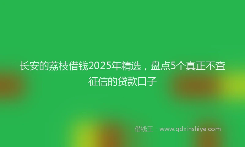 长安的荔枝借钱2025年精选，盘点5个真正不查征信的贷款口子