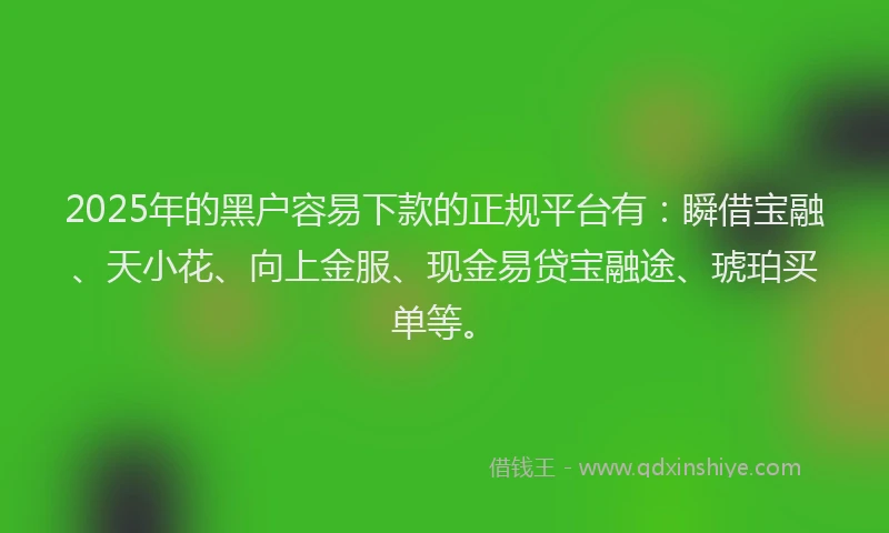 2025年的黑户容易下款的正规平台有：瞬借宝融、天小花、向上金服、现金易贷宝融途、琥珀买单等。