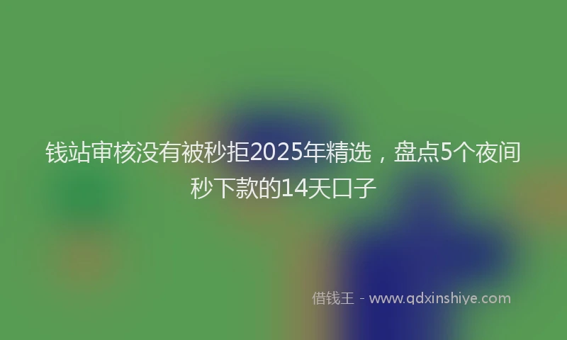 钱站审核没有被秒拒2025年精选，盘点5个夜间秒下款的14天口子